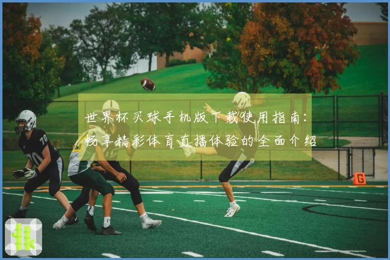 世界杯买球手机版下载使用指南：畅享精彩体育直播体验的全面介绍