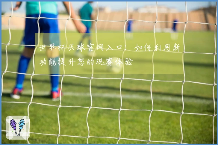 世界杯买球官网入口：如何利用新功能提升您的观赛体验