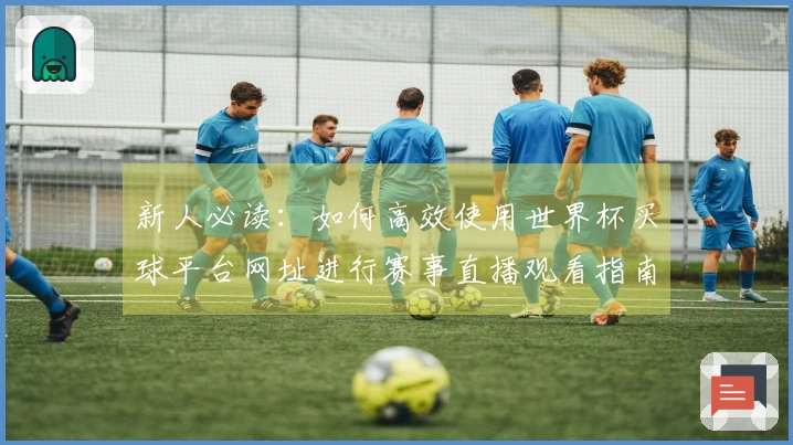 新人必读：如何高效使用世界杯买球平台网址进行赛事直播观看指南