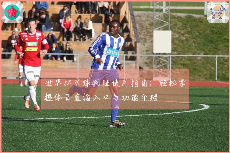 世界杯买球网址使用指南：轻松掌握体育直播入口与功能介绍
