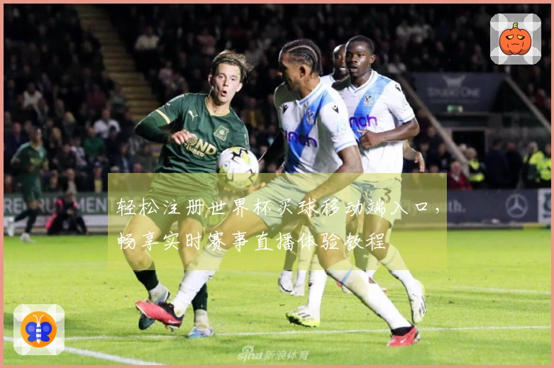 轻松注册世界杯买球移动端入口，畅享实时赛事直播体验教程